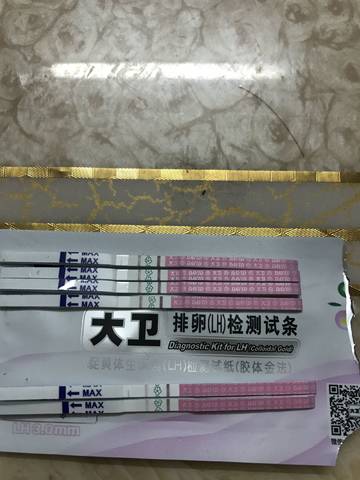 journal_insert_pic_779564483
