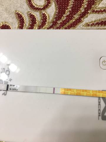 journal_insert_pic_779153400