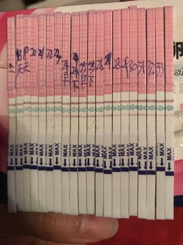 journal_insert_pic_780463116
