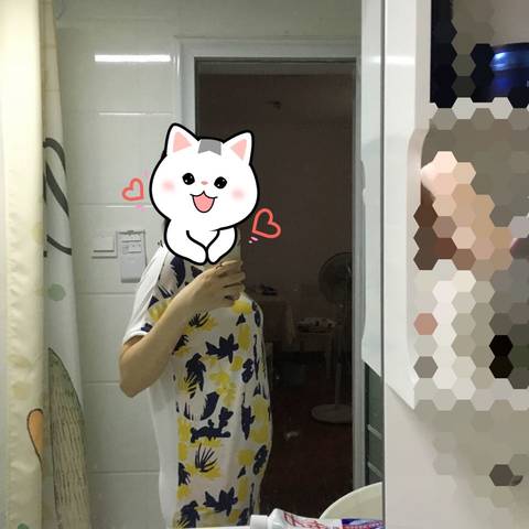 journal_insert_pic_780032959