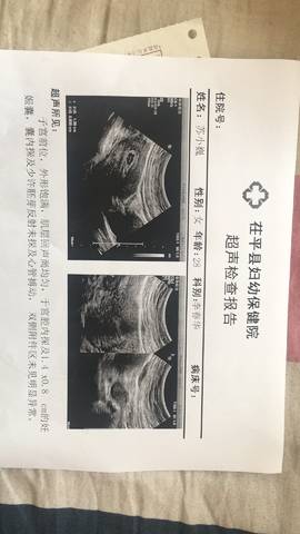journal_insert_pic_780967119