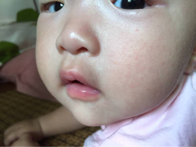 journal_insert_pic_780718912