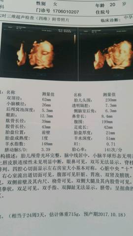 journal_insert_pic_781715942