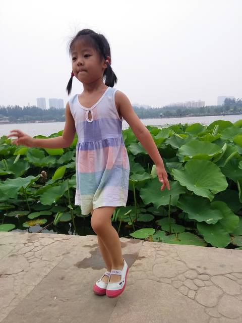 journal_insert_pic_781923920