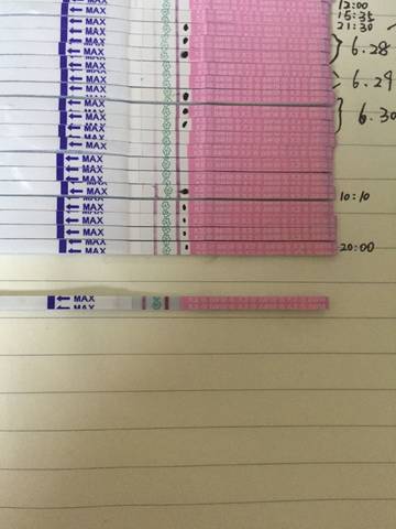 journal_insert_pic_782766719