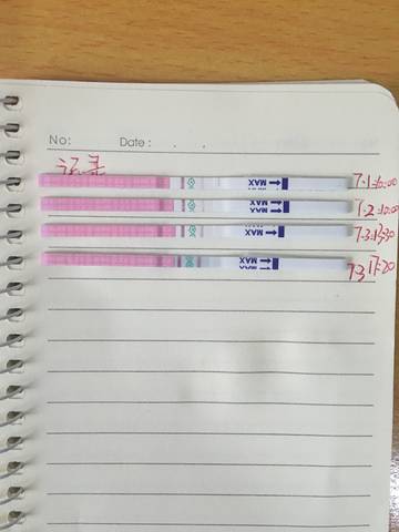 journal_insert_pic_783363777
