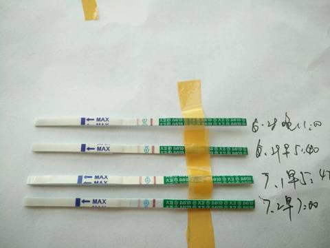 journal_insert_pic_782968422