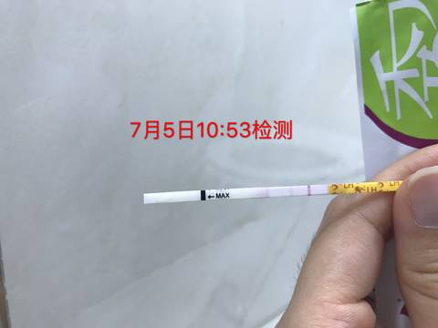 journal_insert_pic_784677649