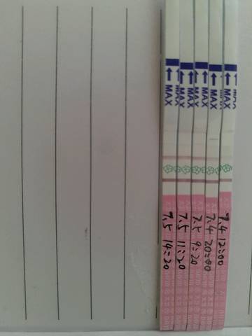 journal_insert_pic_784807205