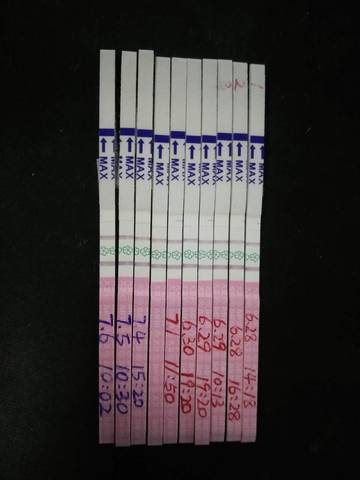 journal_insert_pic_785582646