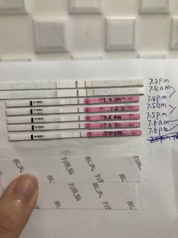 journal_insert_pic_785889039