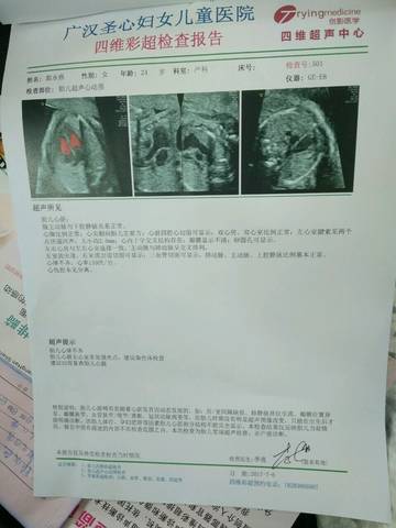 journal_insert_pic_785718457