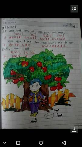 journal_insert_pic_786019181