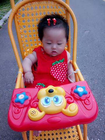 journal_insert_pic_786405213