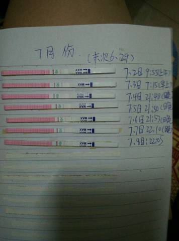 journal_insert_pic_787332574