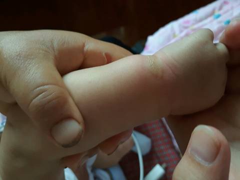 journal_insert_pic_788453166