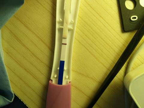 journal_insert_pic_788773296