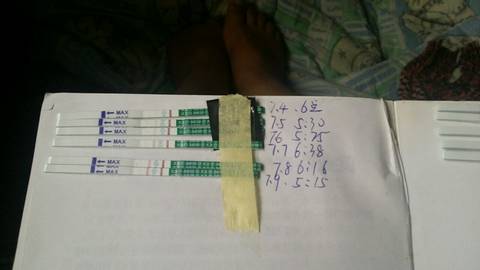 journal_insert_pic_788216474