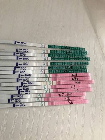 journal_insert_pic_789085012