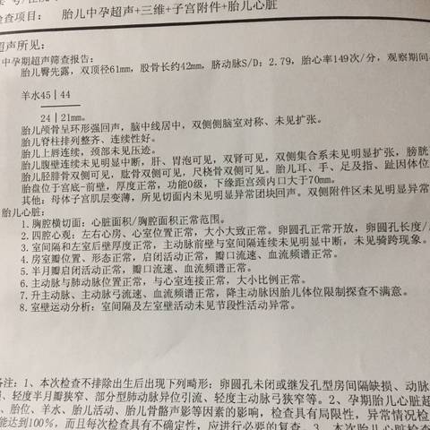 journal_insert_pic_790097078