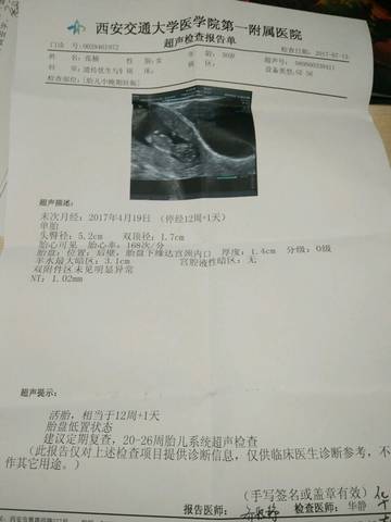 journal_insert_pic_790815986