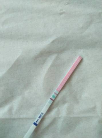 journal_insert_pic_791182480