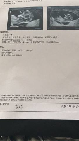 journal_insert_pic_791377967