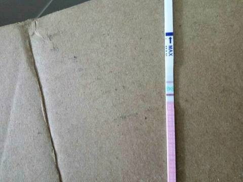 journal_insert_pic_793592967