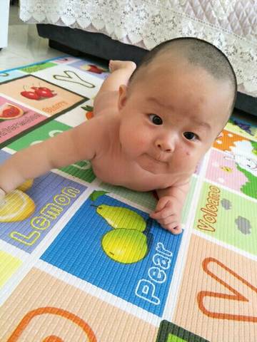 journal_insert_pic_793764186