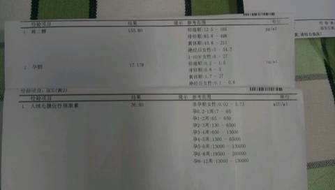journal_insert_pic_793641108