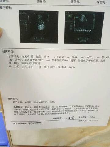 journal_insert_pic_794587371