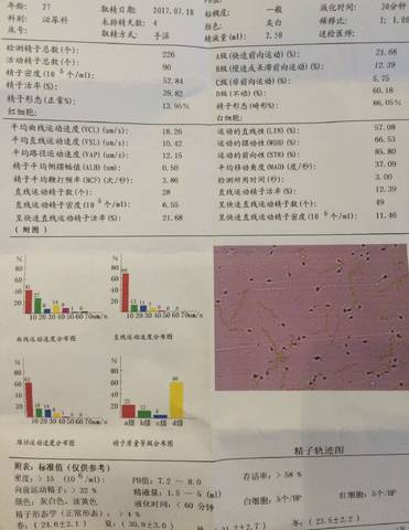 journal_insert_pic_794306613