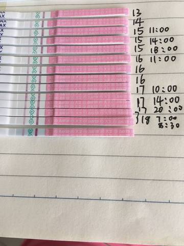 journal_insert_pic_794455561