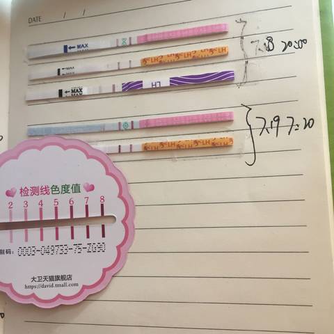 journal_insert_pic_794973176
