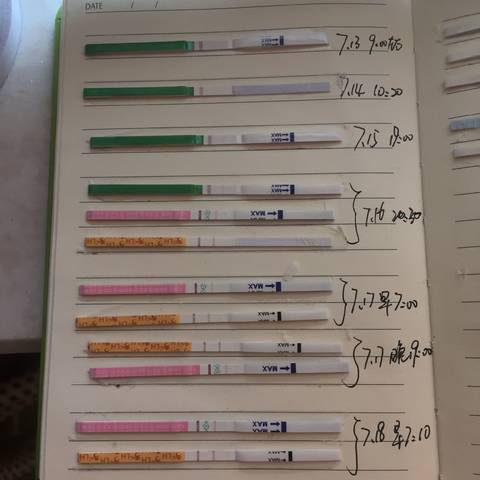 journal_insert_pic_794973168