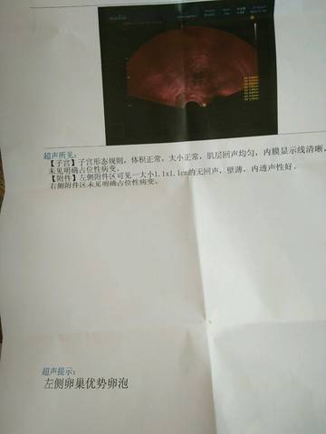 journal_insert_pic_794858341
