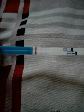 journal_insert_pic_796016455