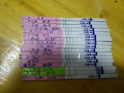 journal_insert_pic_795720753