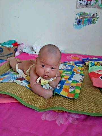 journal_insert_pic_795816347