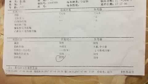 journal_insert_pic_796293323