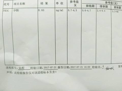 journal_insert_pic_797876386