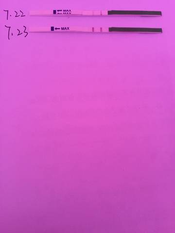 journal_insert_pic_797899456