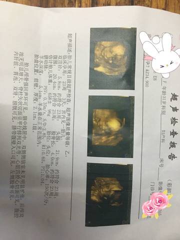 journal_insert_pic_799108655