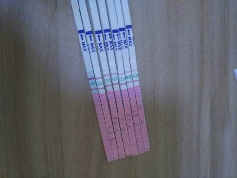 journal_insert_pic_798558083