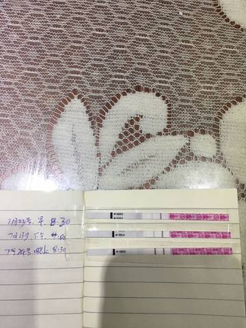 journal_insert_pic_799011602