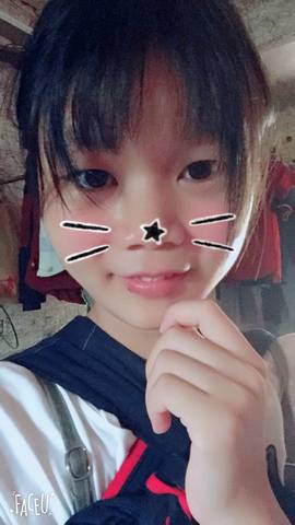 journal_insert_pic_799590425