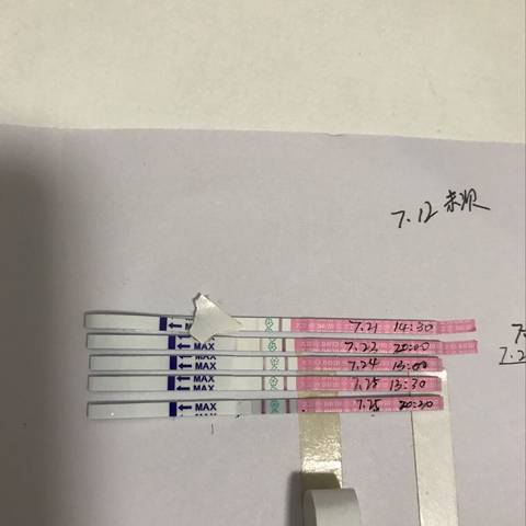 journal_insert_pic_799708425