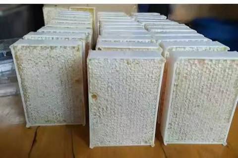 journal_insert_pic_799602153