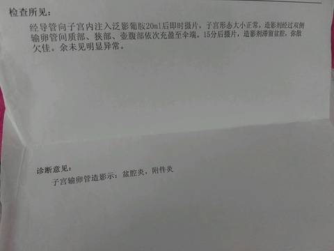 journal_insert_pic_800175624
