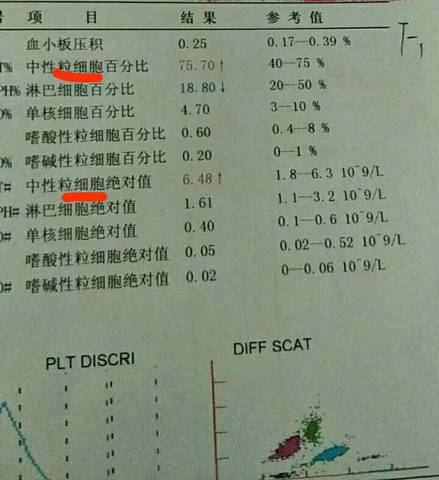 journal_insert_pic_800097502